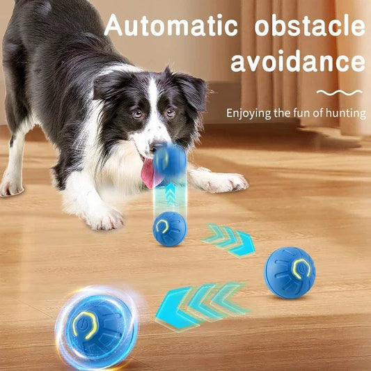 Smart Interactive Pet Toy Ball